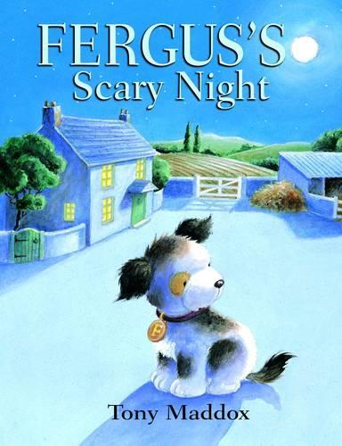 Бумажная книга «Fergus's Scary Night», автор Тони Мэддокс - фото №1