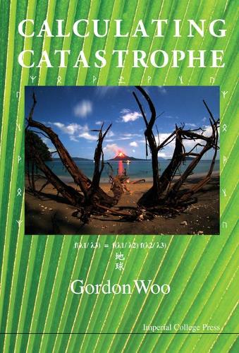 Паперова книга «Calculating Catastrophe», автор Гордон Ву - фото №1