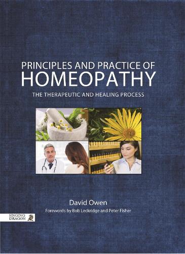 Бумажная книга «Principles and Practice of Homeopathy: The Therapeutic and Healing Process», автор Дэвид Оуэн - фото №1