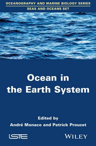 Бумажная книга «Ocean in the Earth System», автор Патрик Прузе - фото №1