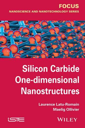 Бумажная книга «Silicon Carbide One-dimensional Nanostructures», авторов Лоуренс Лату-Ромен, Маэлиг Олливье - фото №1
