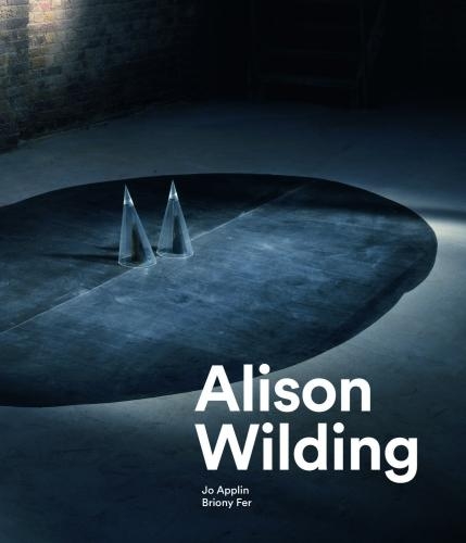 Бумажная книга «Alison Wilding», автор Джо Эплин - фото №1