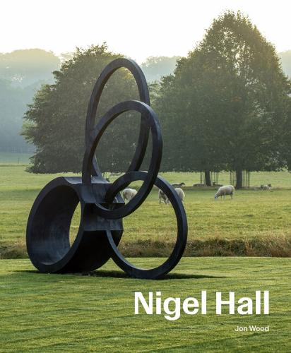Бумажная книга «Nigel Hall: Sculpture & Drawings», автор Джон Вуд - фото №1