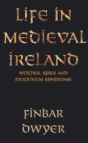 Бумажная книга «Life in Medieval Ireland», автор Финбар Двайер - фото №1