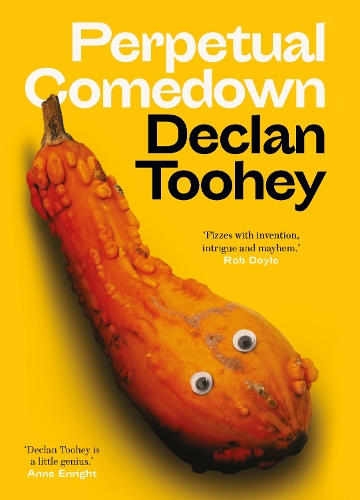 Бумажная книга «Perpetual Comedown», автор Деклан Тухи - фото №1