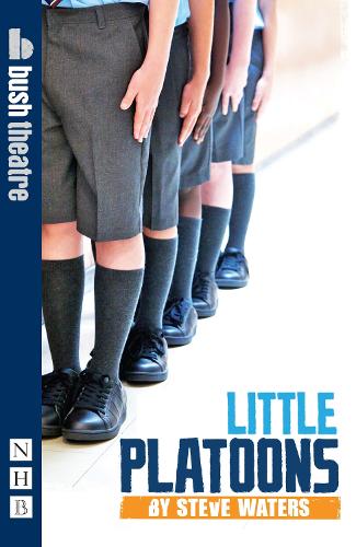 Паперова книга «Little Platoons», автор Стів Уотерс - фото №1