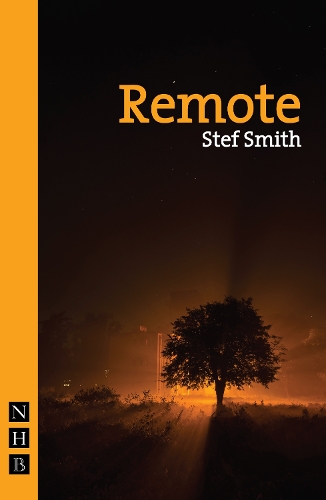 Бумажная книга «Remote», автор Стеф Смит - фото №1