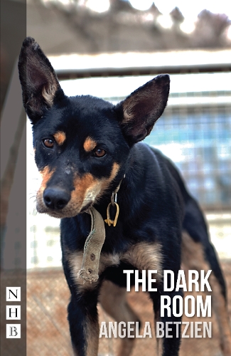Бумажная книга «The Dark Room», автор Анджела Бетциен - фото №1