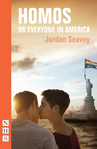 Паперова книга «Homos, or Everyone in America», автор Джордан Сіві - фото №1