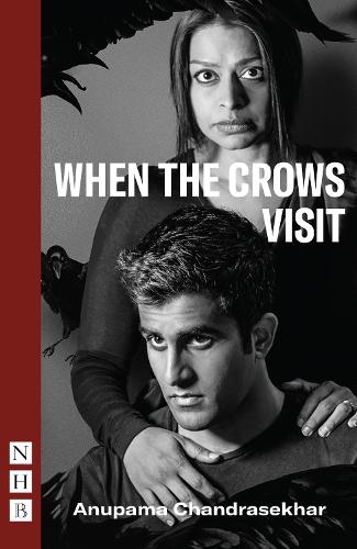 Бумажная книга «When the Crows Visit», автор Анупама Чандрасекар - фото №1