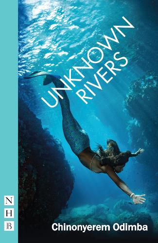 Паперова книга «Unknown Rivers», автор Чіноньєрем Одімба - фото №1