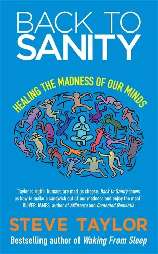 Бумажная книга «Back to Sanity: Healing the Madness of Our Minds», автор Стив Тейлор - фото №1