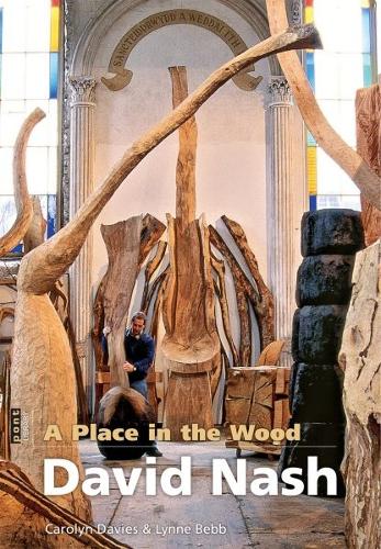 Паперова книга «Place in the Wood, A - David Nash», автор Керолін Девіс - фото №1