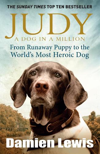 [object Object] «Judy: A Dog in a Million: From Runaway Puppy to the World's Most Heroic Dog», автор Дэмиен Льюис - фото №1