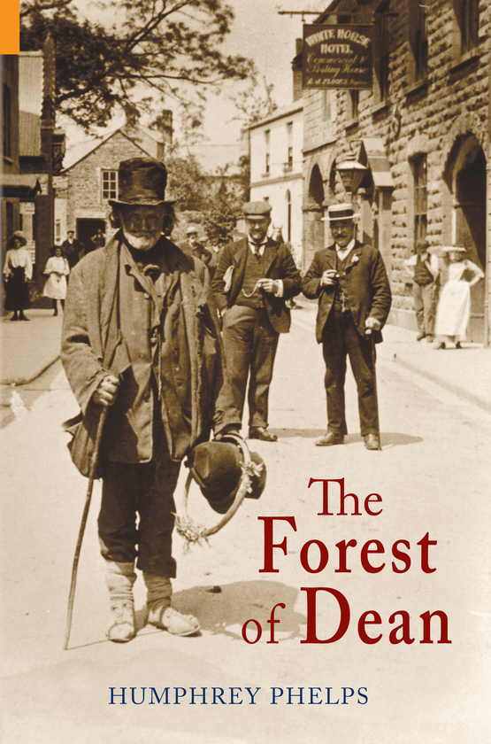 Бумажная книга «The Forest of Dean» - фото №1