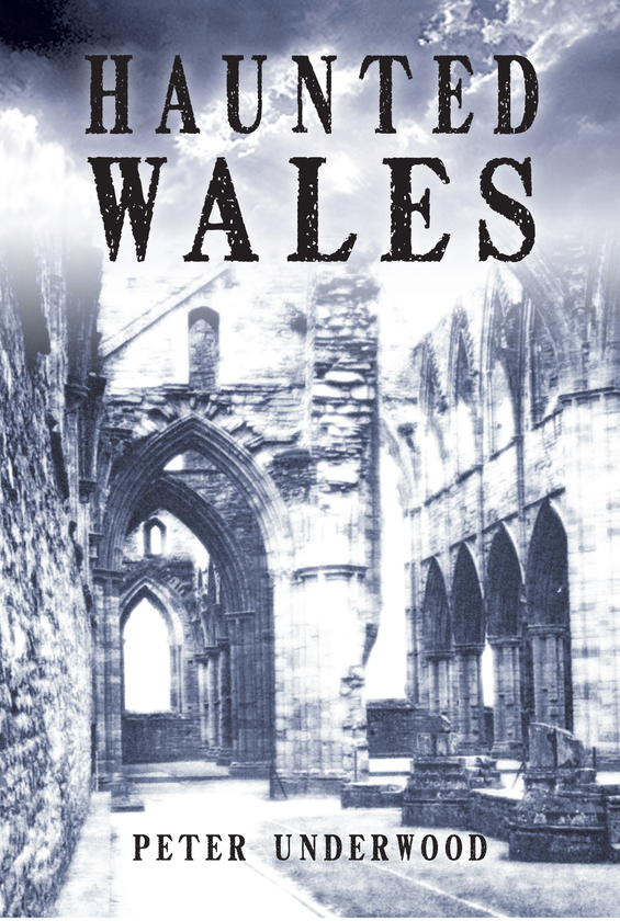 Бумажная книга «Haunted Wales» - фото №1