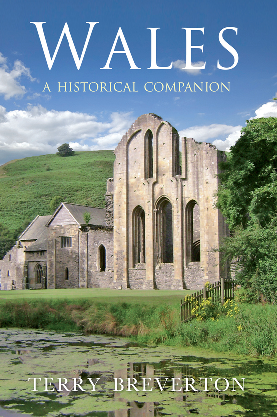 Бумажная книга «Wales A Historical Companion» - фото №1