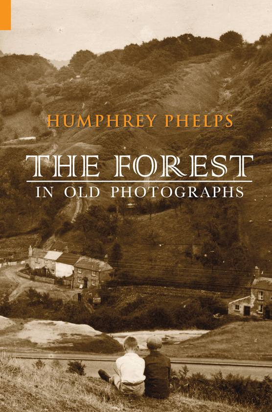 Бумажная книга «The Forest in Old Photographs» - фото №1