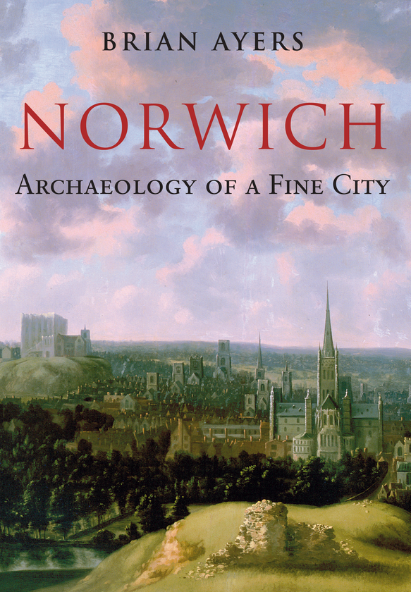 Паперова книга «Norwich Archaeology of a Fine City» - фото №1