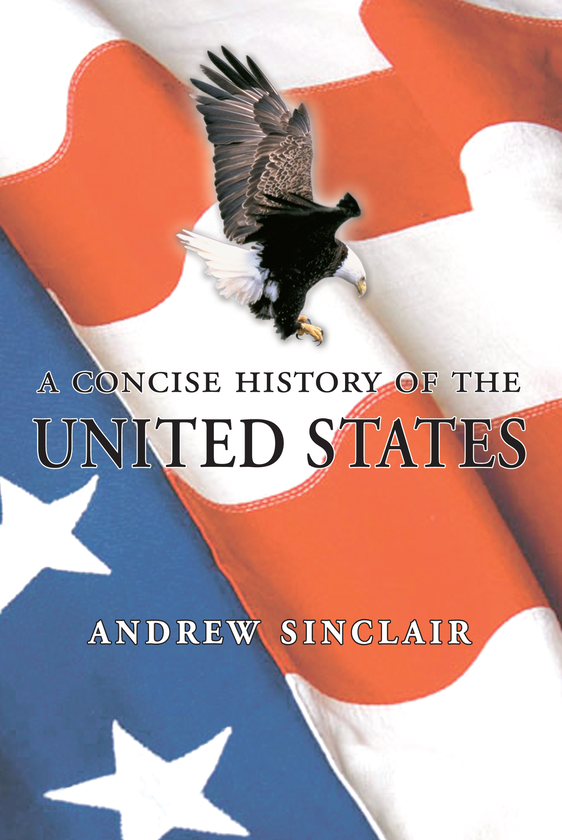 Бумажная книга «A Concise History of the USA» - фото №1