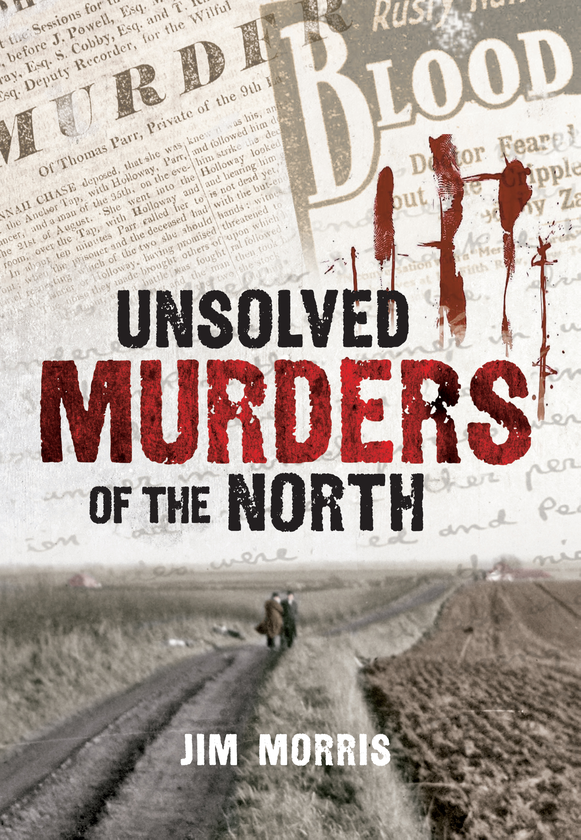 Бумажная книга «Unsolved Murders of the North» - фото №1