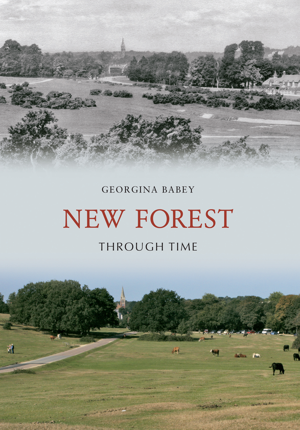 Паперова книга «New Forest Through Time» - фото №1