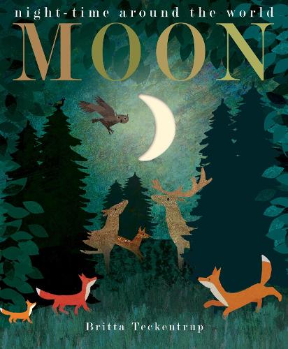 Бумажная книга «Moon: night-time around the world», автор Патриция Хегарти - фото №1