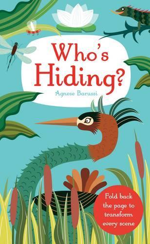 Паперова книга «Who's Hiding?», автор Дженні Брум - фото №1