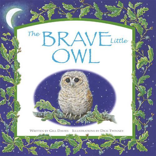 Бумажная книга «The Brave Little Owl», автор Дэвис Гилл - фото №1