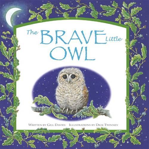 Бумажная книга «The Brave Little Owl», автор Гилл Дэвис - фото №1