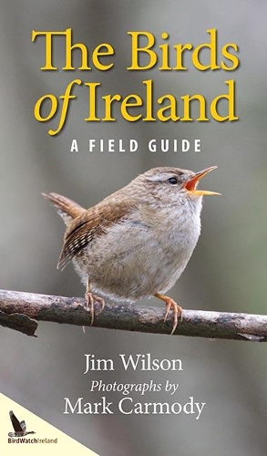 Паперова книга «The Birds of Ireland», автор Марк Кармоді - фото №1