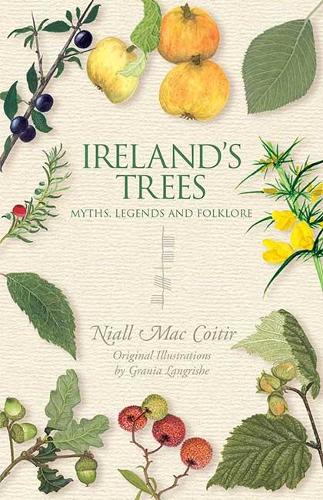 Бумажная книга «Ireland's Trees», автор Ниалл Мак Койтир - фото №1