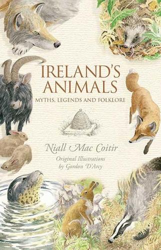 Бумажная книга «Ireland’s Animals», автор Ниалл Мак Койтир - фото №1