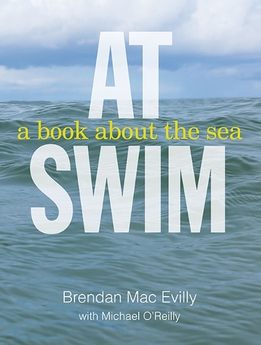Паперова книга «At Swim», авторів Брендан Мак Евіллі, Майкл О'Райлі - фото №1