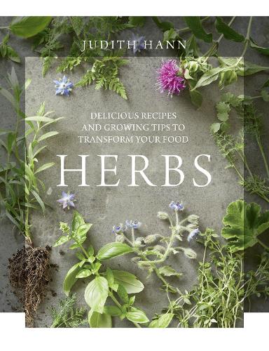 Паперова книга «Herbs», автор Джудіт Ханн - фото №1