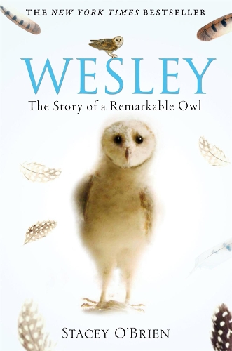 Паперова книга «Wesley: The Story of a Remarkable Owl», автор Стейсі О'Брайен - фото №1