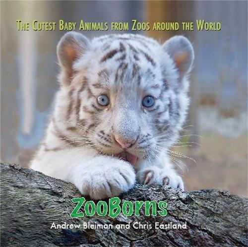 Бумажная книга «ZooBorns: The Cutest Baby Animals from Zoos Around the World!», автор Эндрю Блэйман - фото №1
