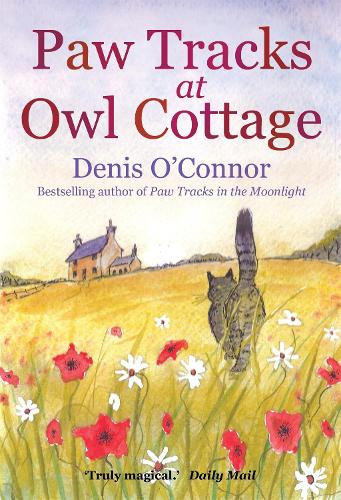 Паперова книга «Paw Tracks at Owl Cottage», автор Деніс О'Коннор - фото №1