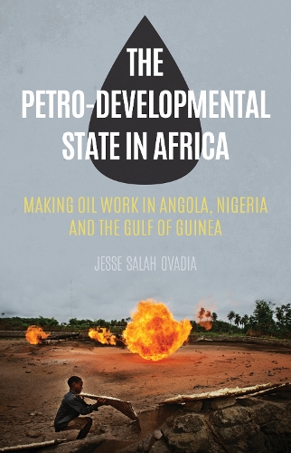 Бумажная книга «The Petro-Developmental State in Africa: Making Oil Work in Angola, Nigeria and the Gulf of Guinea», автор Джесси Салах Овадия - фото №1