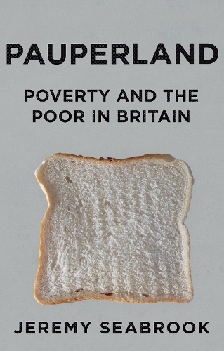 Паперова книга «Pauperland: Poverty and the Poor in Britain», автор Джеремі Сібрук - фото №1