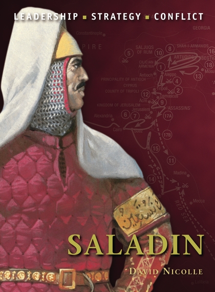 Бумажная книга «Saladin» - фото №1