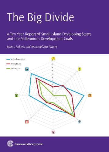 Бумажная книга «The Big Divide: A Ten Year Report on Small Island Developing States and the Millennium Development Goals», авторов Ибукунолува Ибитойе, Джон Л. Робертс - фото №1