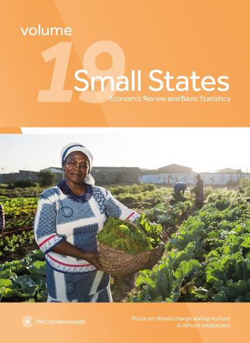 Паперова книга «Small States: Economic Review and Basic Statistics, Volume 19», автор Секретаріат Співдружності - фото №1