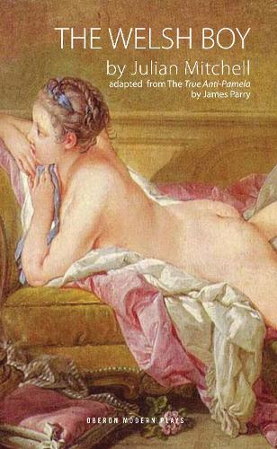 Паперова книга «The Welsh Boy», автор Джуліан Мітчелл - фото №1