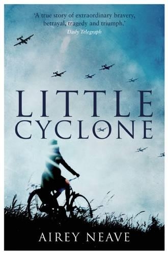 Бумажная книга «Little Cyclone», автор Эйри Нив - фото №1