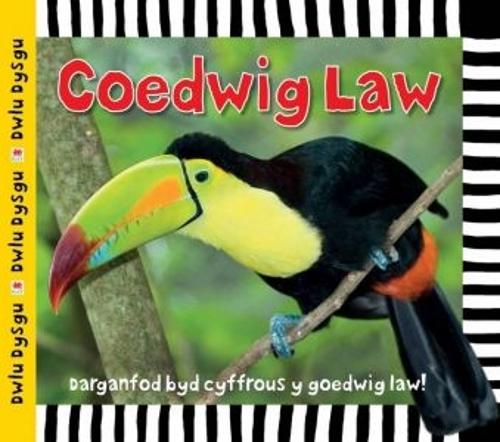 Бумажная книга «Cyfres Dwlu Dysgu: Coedwig Law», автор Сара Пауэлл - фото №1
