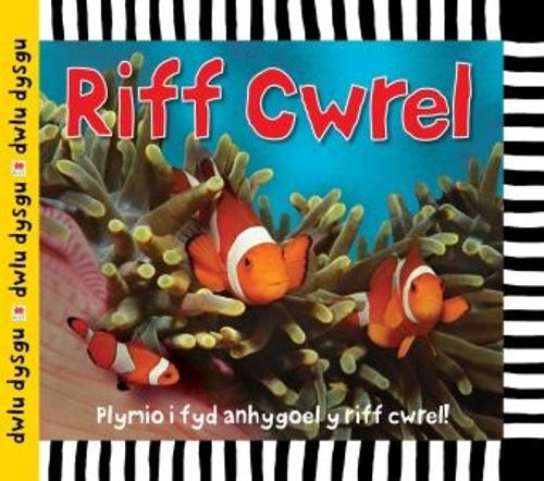 Бумажная книга «Cyfres Dwlu Dysgu: Riff Cwrel», автор Сара Пауэлл - фото №1