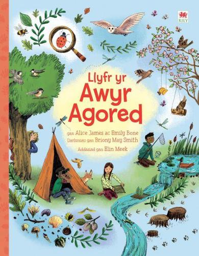 Бумажная книга «Llyfr yr Awyr Agored», автор Эмили Боун - фото №1