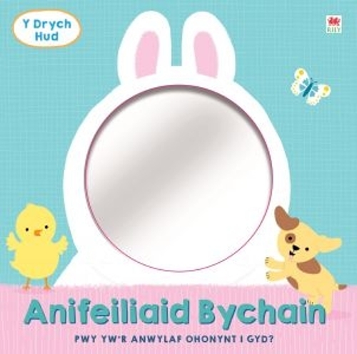 Паперова книга «Drych Hud, Y: Anifeiliaid Bychain», автор Campbell Books - фото №1