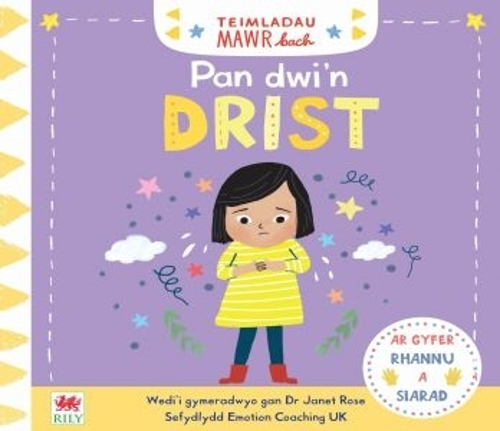 Бумажная книга «Teimladau Mawr Bach: Pan Dwi'n Drist», авторов Campbell Books, Джейнс Роуз - фото №1
